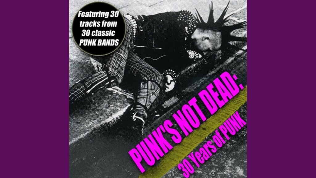 Punk's Not Dead - 30 Years Of Punk