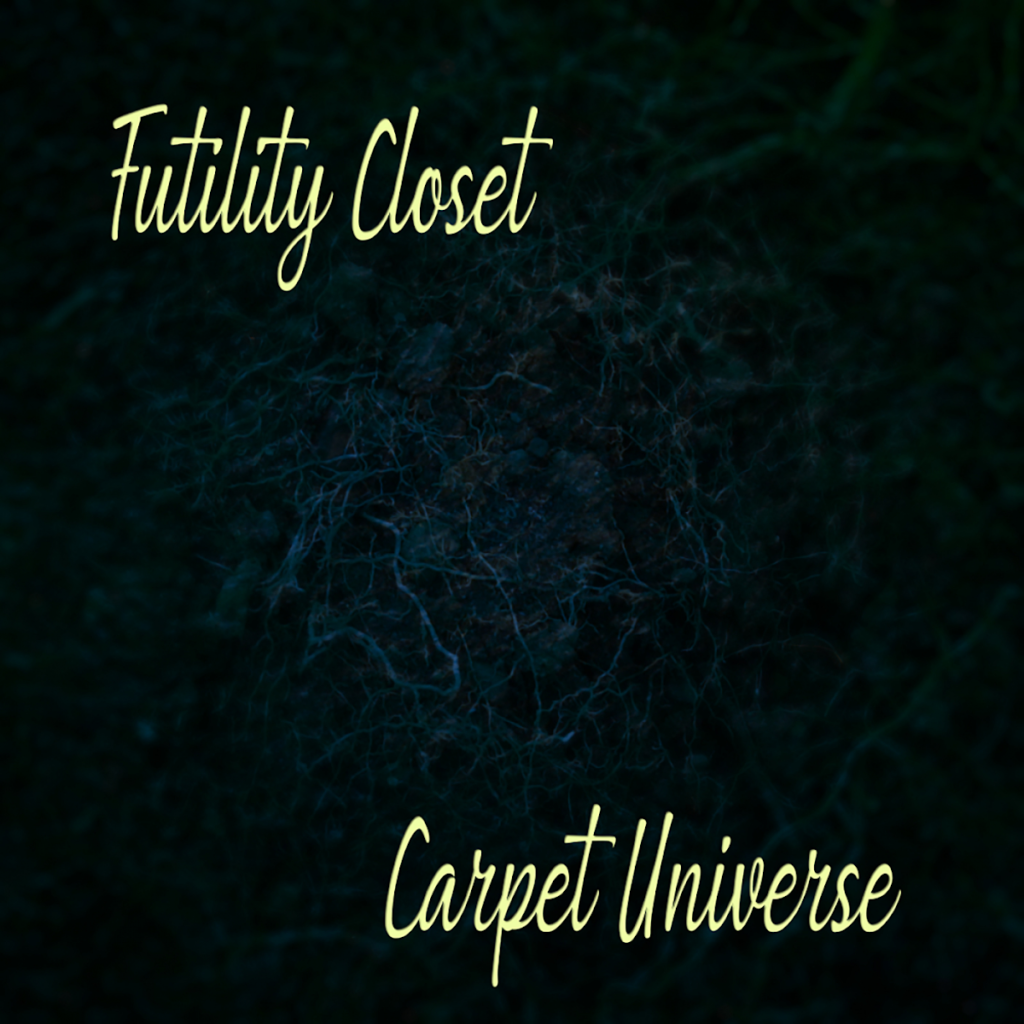 Carpet Universe