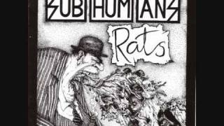 Rats